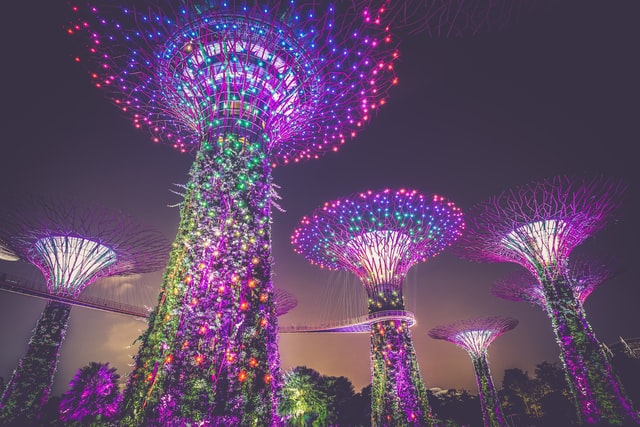 Gardens by the Bay at Night