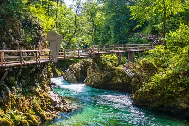 Bridge at Soteska Vintgar